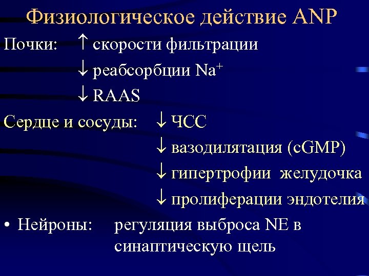 Физиологическое действие ANP скорости фильтрации реабсорбции Na+ RAAS Сердце и сосуды: ЧСС вазодилятация (c.