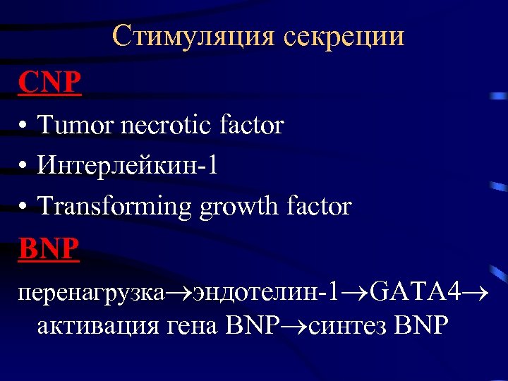 Стимуляция секреции CNP • Tumor necrotic factor • Интерлейкин-1 • Transforming growth factor BNP