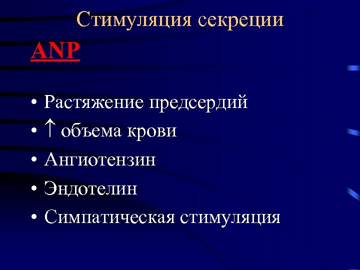 Стимуляция секреции ANP • • • Растяжение предсердий объема крови Ангиотензин Эндотелин Симпатическая стимуляция