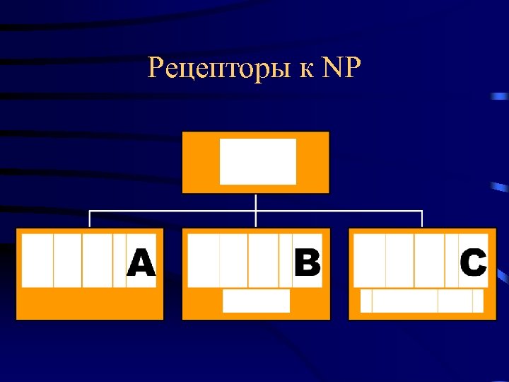 Рецепторы к NP 