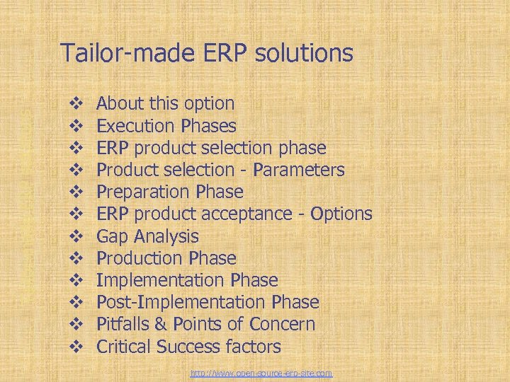 Tailor-made ERP solutions v v v About this option Execution Phases ERP product selection