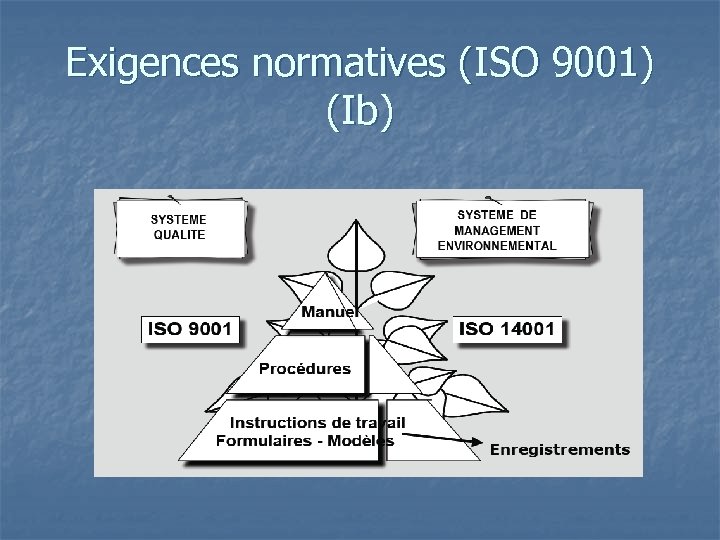 Exigences normatives (ISO 9001) (Ib) 