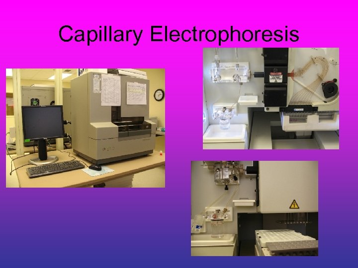 Capillary Electrophoresis 