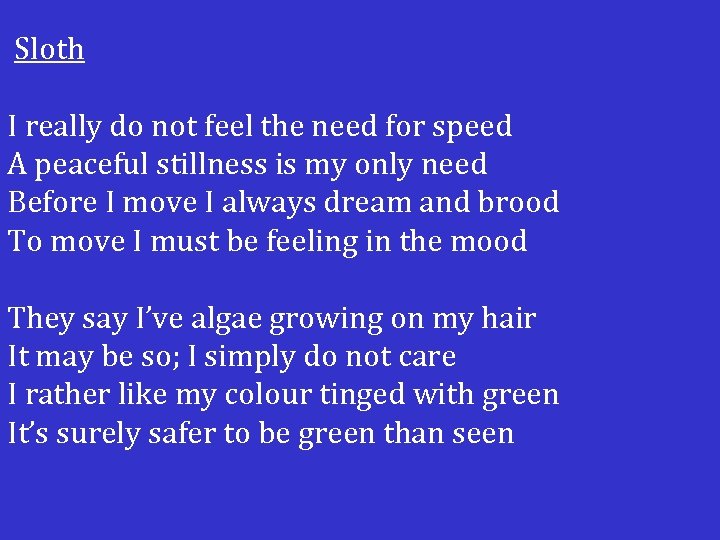  Sloth I really do not feel the need for speed A peaceful stillness