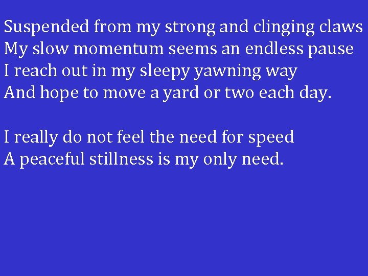 Suspended from my strong and clinging claws My slow momentum seems an endless pause