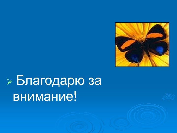 Благодарю за внимание! Ø 