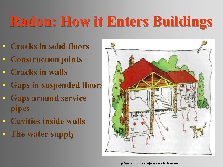 Radon: How it Enters Buildings • • • Cracks in solid floors Construction joints