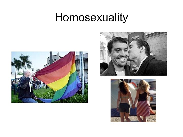 Homosexuality 