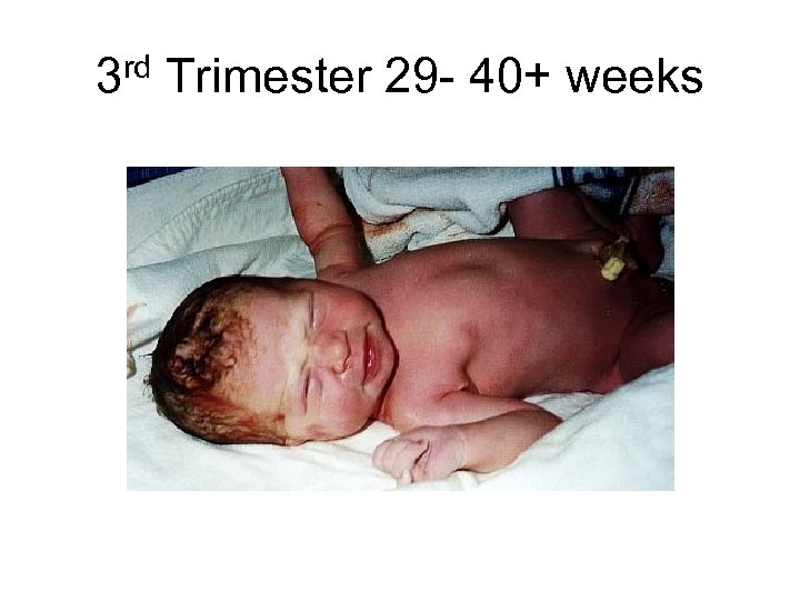 3 rd Trimester 29 - 40+ weeks 