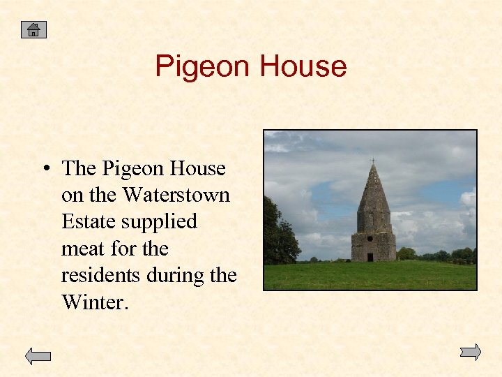 Pigeon House • The Pigeon House on the Waterstown Estate supplied meat for the