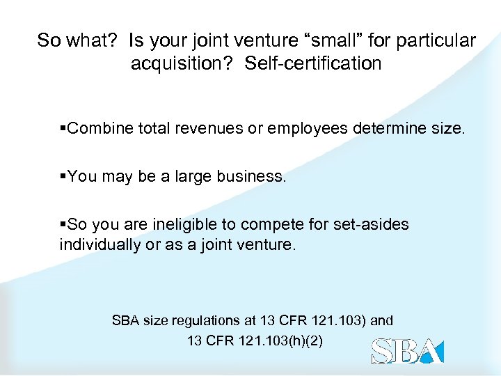 So what? Is your joint venture “small” for particular acquisition? Self-certification §Combine total revenues