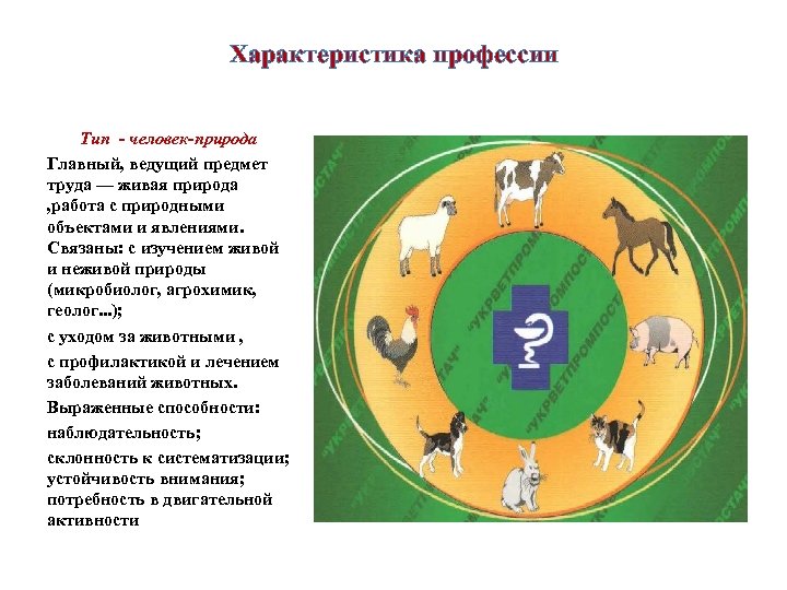 Характеристика профессии Тип - человек-природа Главный, ведущий предмет труда — живая природа , работа