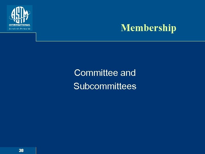 Membership Committee and Subcommittees 30 