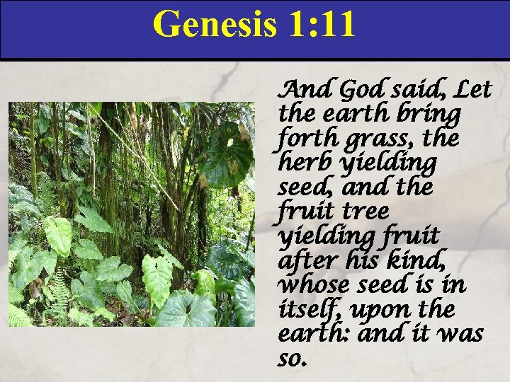 Genesis 1: 11 And God said, Let the earth bring forth grass, the herb