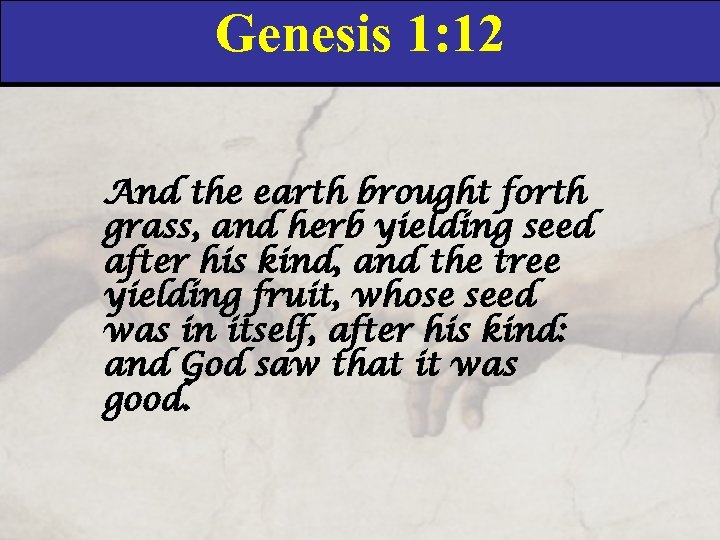 Genesis 1: 12 And the earth brought forth grass, and herb yielding seed after