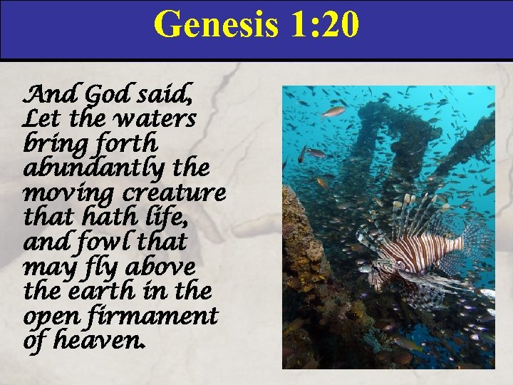 Genesis 1: 20 And God said, Let the waters bring forth abundantly the moving