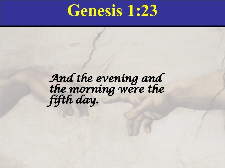 Genesis 1: 23 And the evening and the morning were the fifth day. 