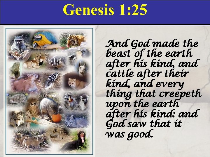 Genesis 1: 25 And God made the beast of the earth after his kind,