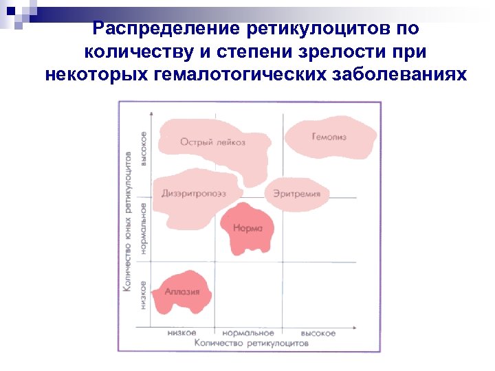 Степень зрелости легких