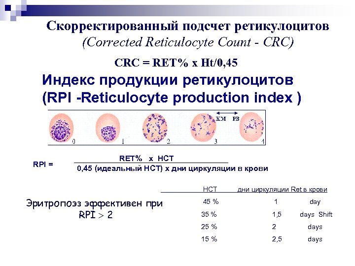Ретикулоциты повышены у мужчины. Подсчет ретикулоцитов. Подсчет ретикулоцитов крови при анемиях.. Ретикулоциты при анемии. Окраска ретикулоцитов.