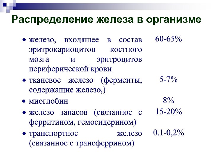 Распределение железа в организме 
