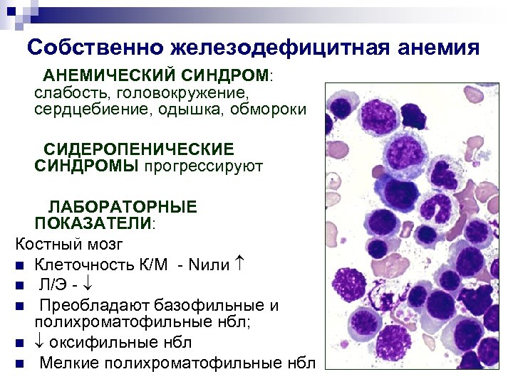 Картина крови при жда