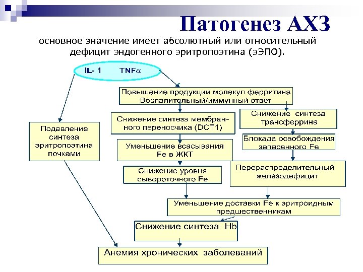 Патогенез АХЗ основное значение имеет абсолютный или относительный дефицит эндогенного эритропоэтина (э. ЭПО). 