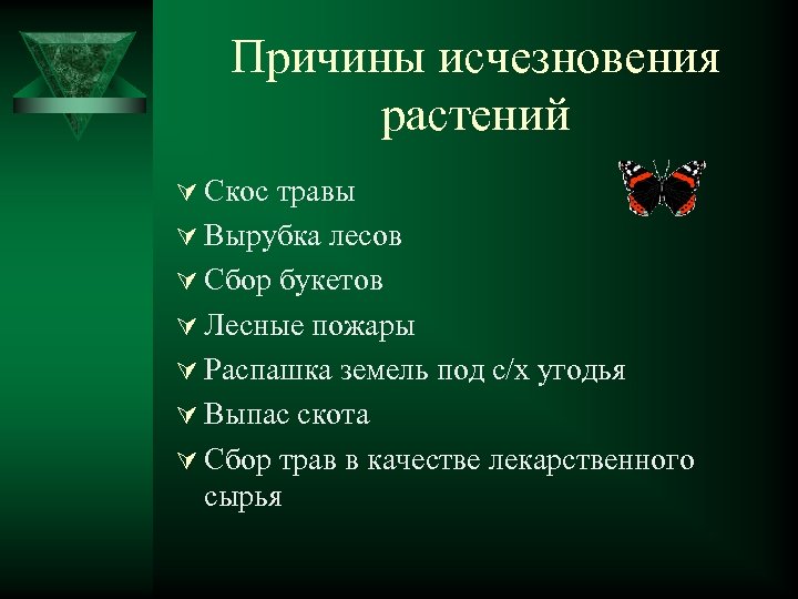 Причины исчезновения растений Ú Скос травы Ú Вырубка лесов Ú Сбор букетов Ú Лесные