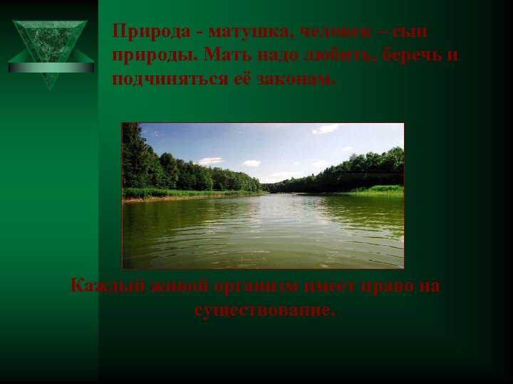 Природа - матушка, человек – сын природы. Мать надо любить, беречь и подчиняться её
