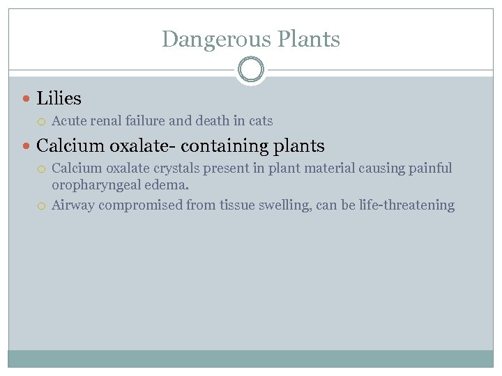 Dangerous Plants Lilies Acute renal failure and death in cats Calcium oxalate- containing plants