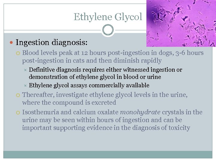 Ethylene Glycol Ingestion diagnosis: Blood levels peak at 12 hours post-ingestion in dogs, 3