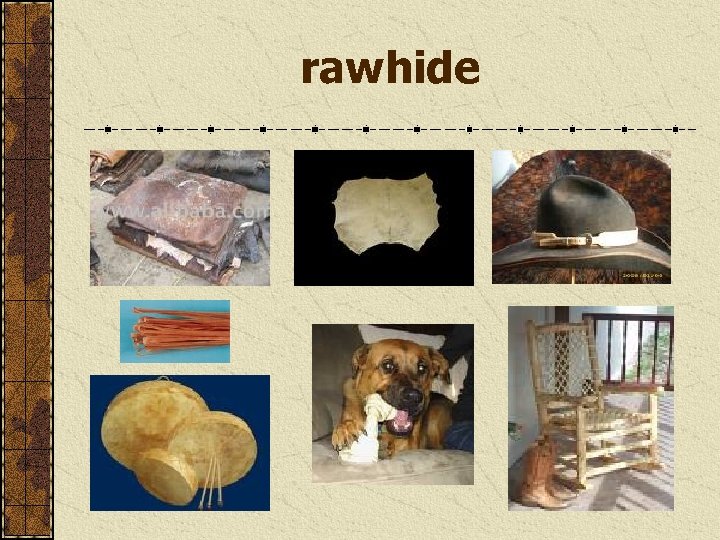 rawhide 