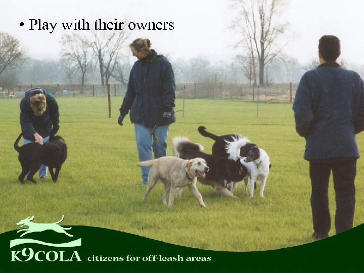  • Play with their owners 