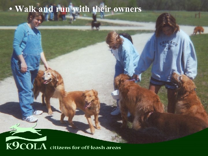  • Walk and run with their owners 