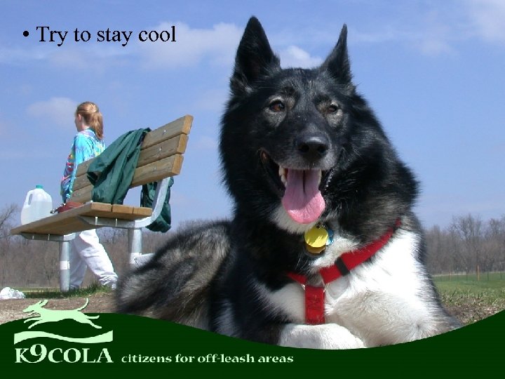  • Try to stay cool 