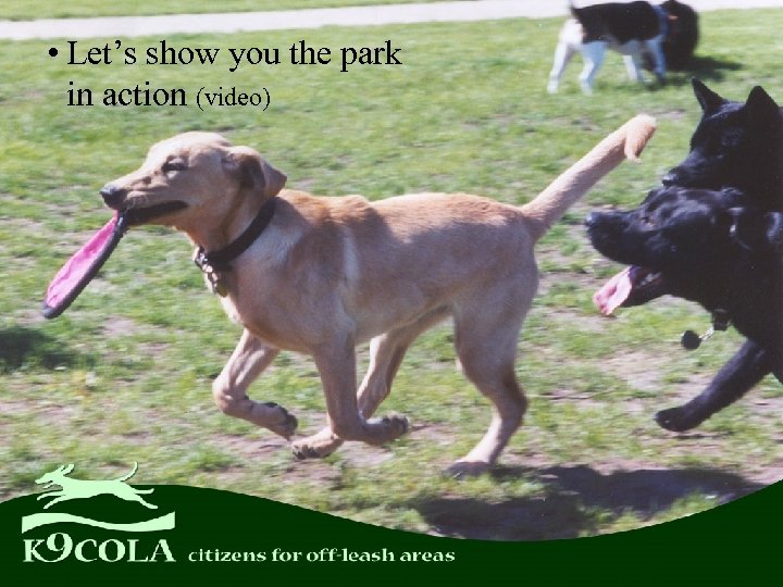  • Let’s show you the park in action (video) 