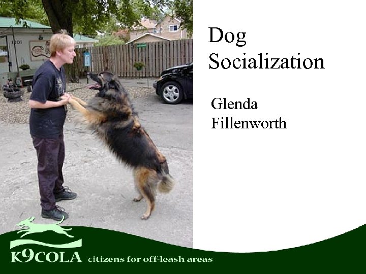 Dog Socialization Glenda Fillenworth 