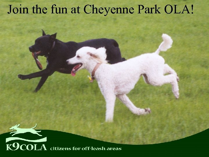 Join the fun at Cheyenne Park OLA! 