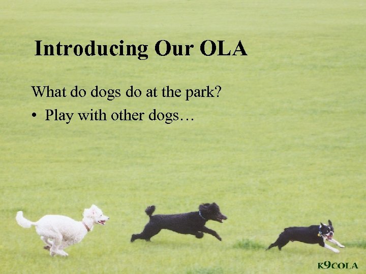 Introducing Our OLA What do dogs do at the park? • Play with other