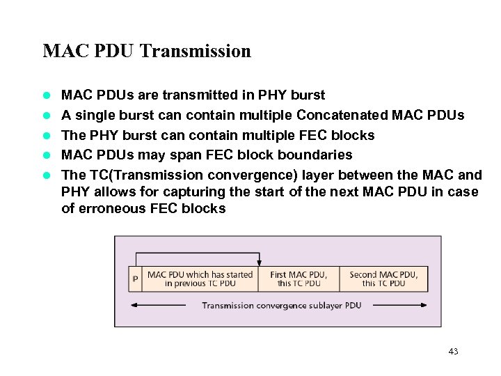 MAC PDU Transmission l l l MAC PDUs are transmitted in PHY burst A