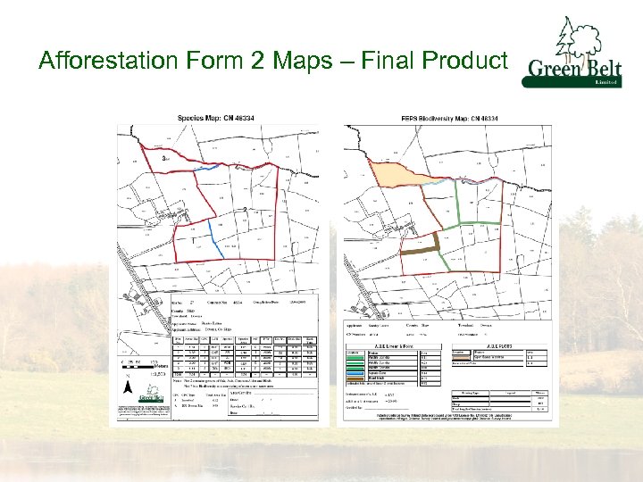 Afforestation Form 2 Maps – Final Product 