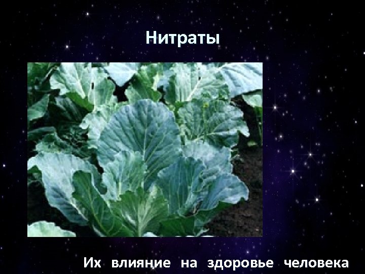 Нитраты Их влияние на здоровье человека 