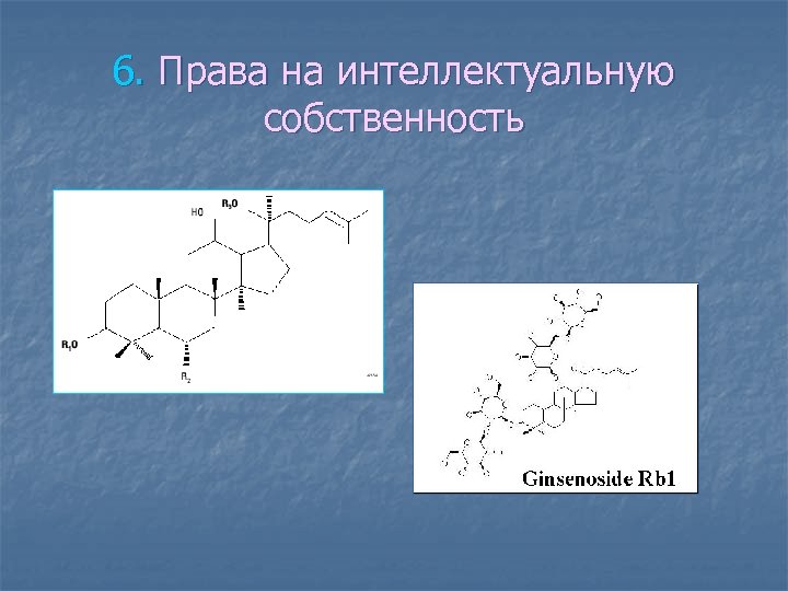 6. Права на интеллектуальную собственность 