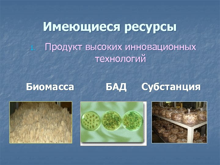 Имеющиеся ресурсы 1. Продукт высоких инновационных технологий Биомасса БАД Субстанция 