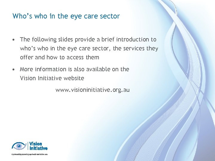 Who’s who in the eye care sector • The following slides provide a brief