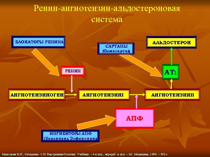 Ренин ангиотензин альдостероновая система схема