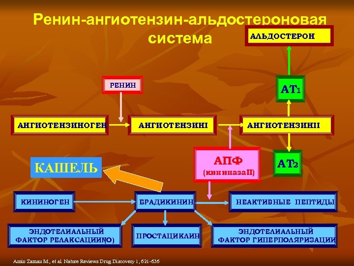 Ренин анализ