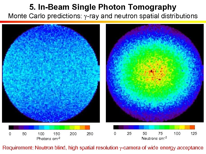 5. In-Beam Single Photon Tomography Monte Carlo predictions: g-ray and neutron spatial distributions 0