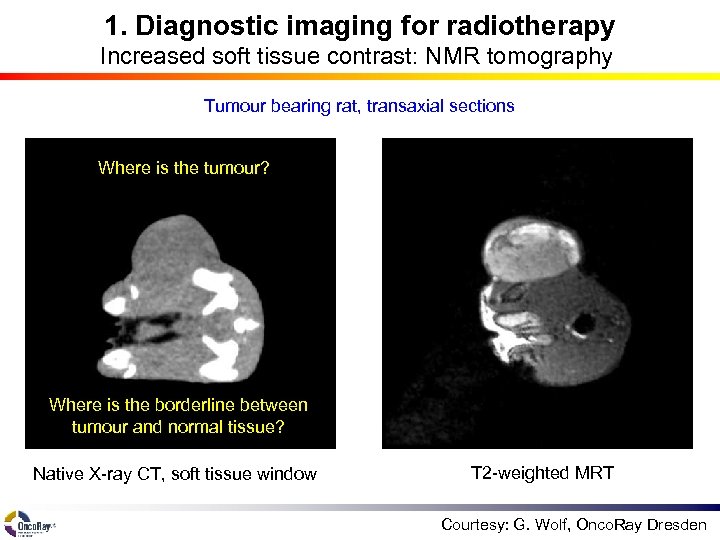 1. Diagnostic imaging for radiotherapy Increased soft tissue contrast: NMR tomography Tumour bearing rat,