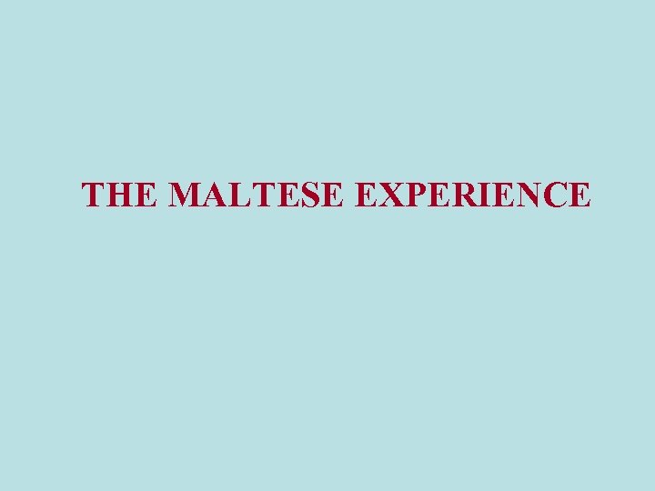 THE MALTESE EXPERIENCE 